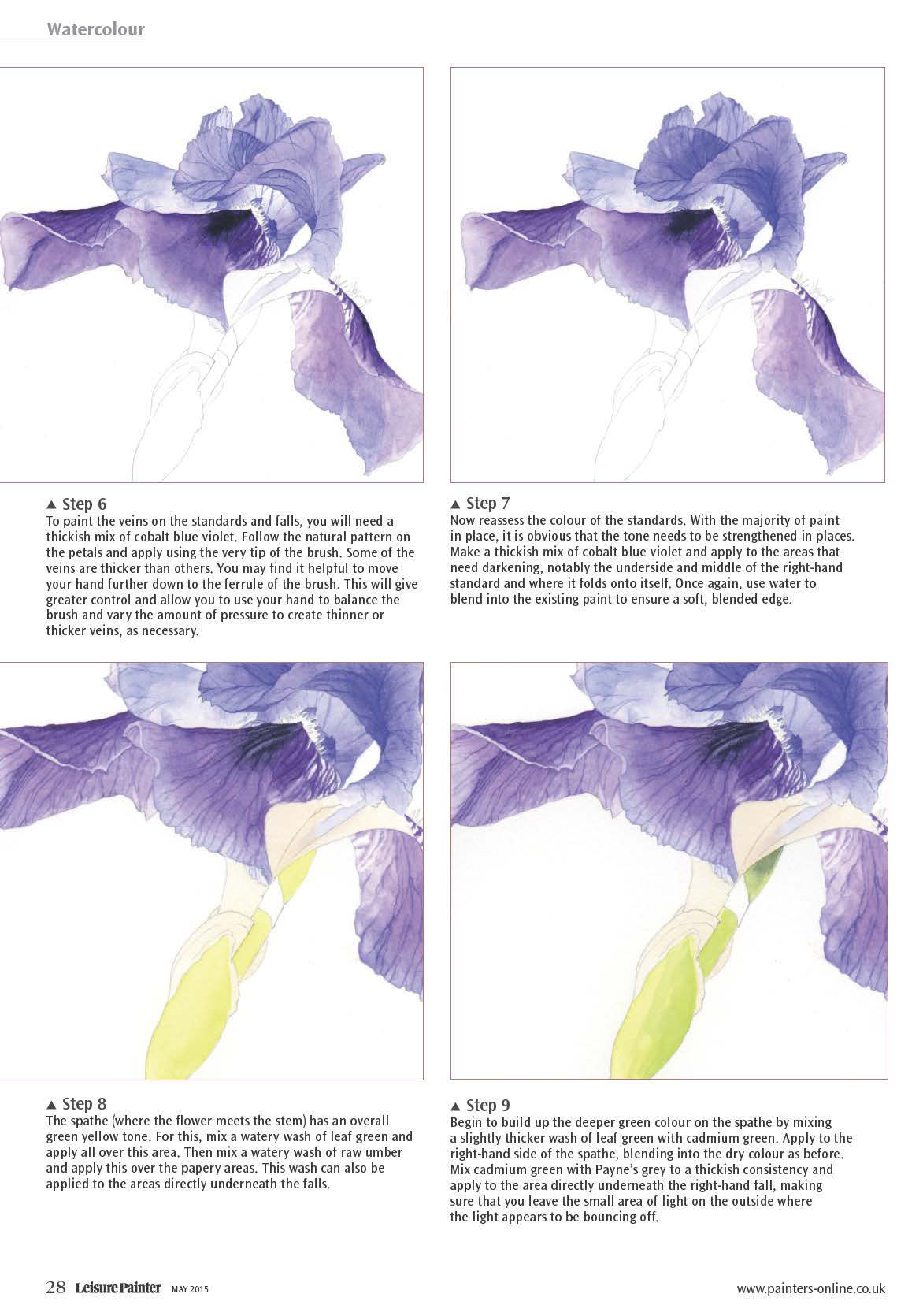 free watercolour tutorial - bearded iris