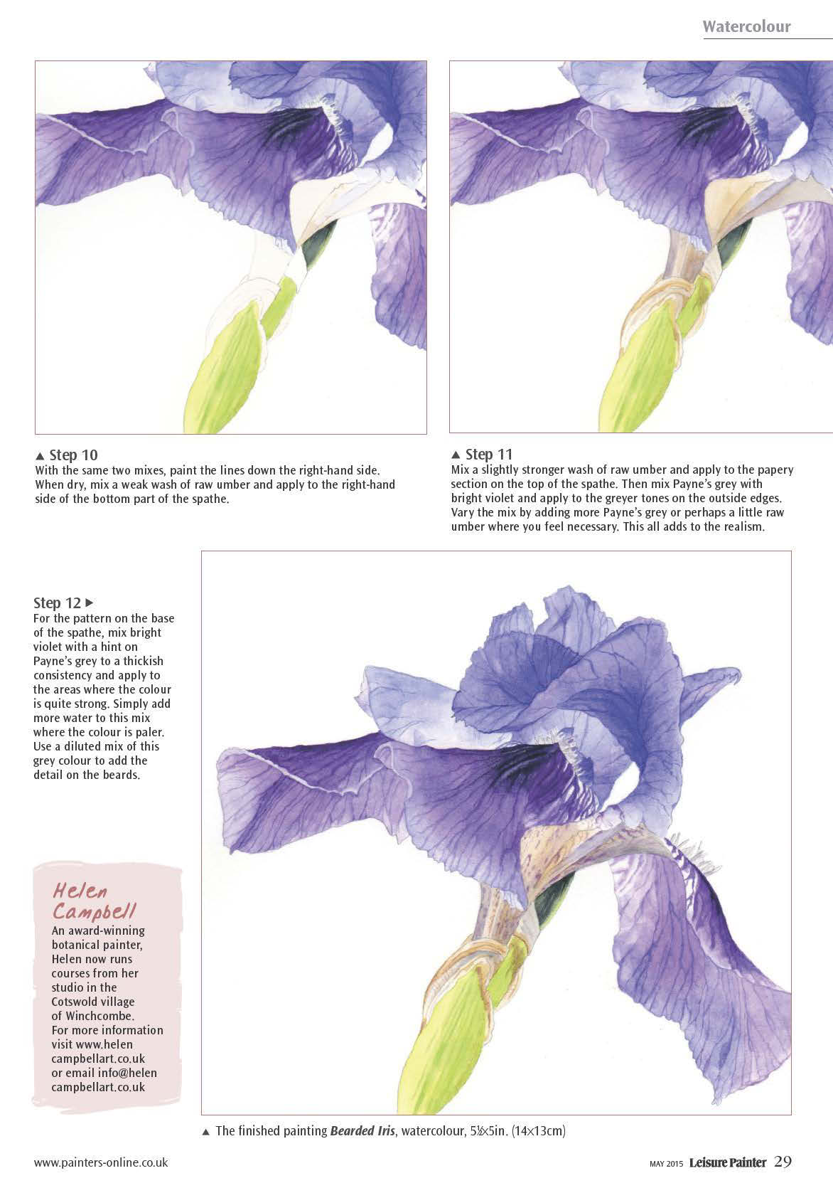 free watercolour tutorial - bearded iris