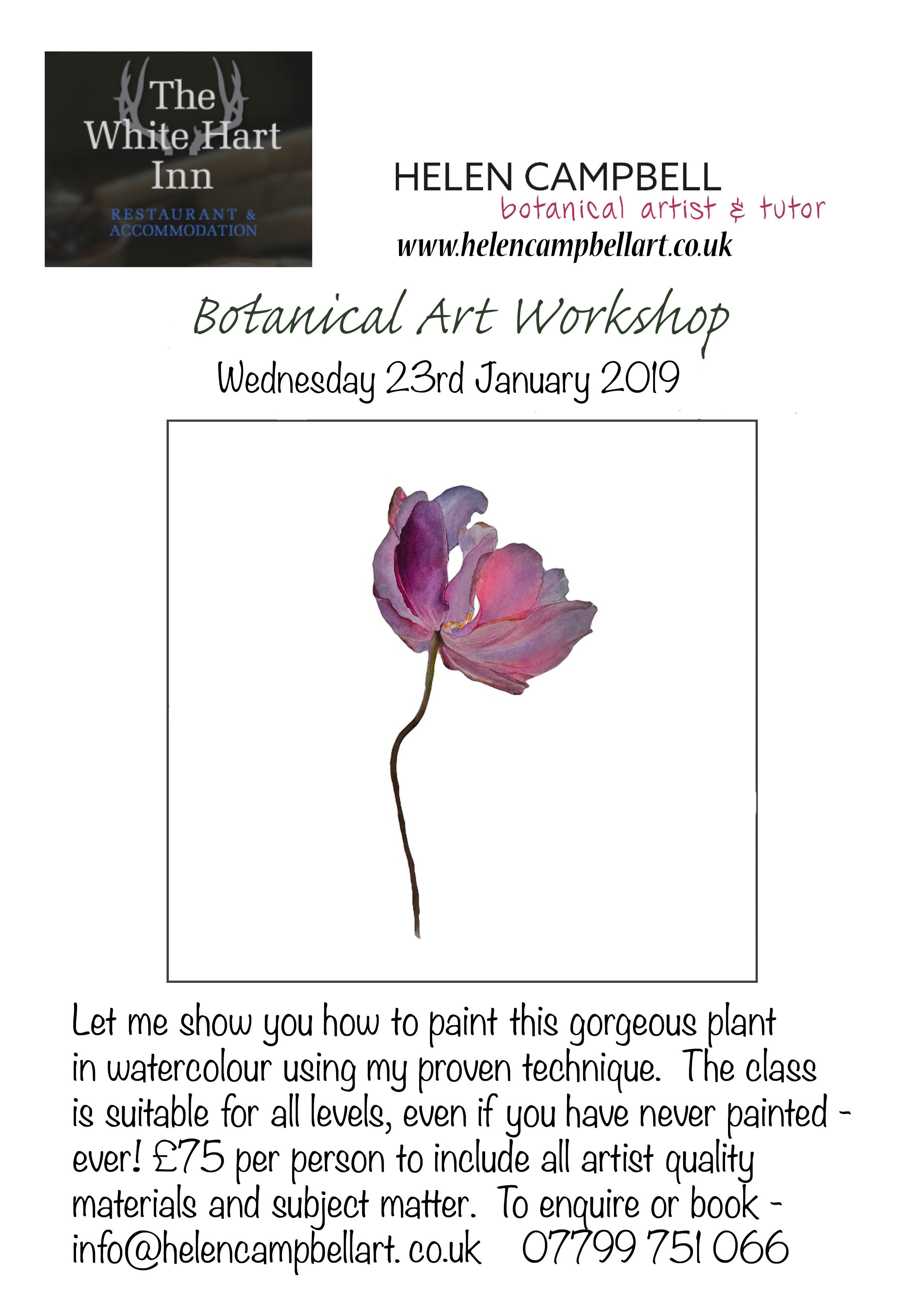 Botanical Art Workshop